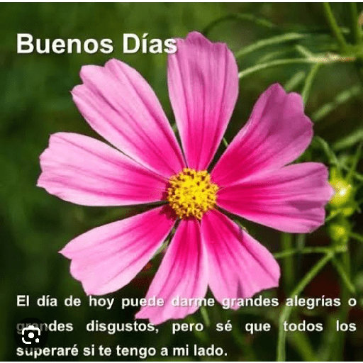 Buenos dias  13