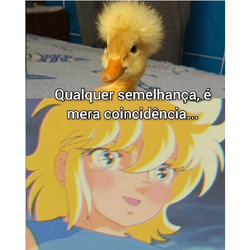 Memes e frases 4