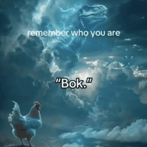 Random memes 50 6