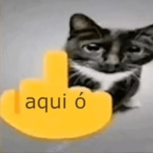 Novidades da semana 13