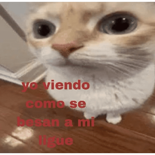 Tiktok Viral 👌🏻 16