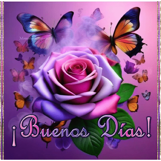 Buenos dias  26