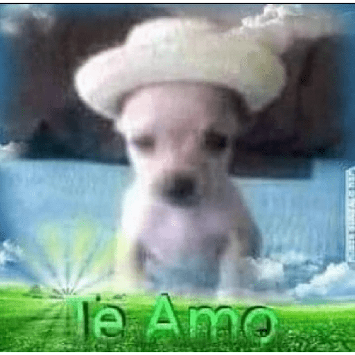 Opa 3
