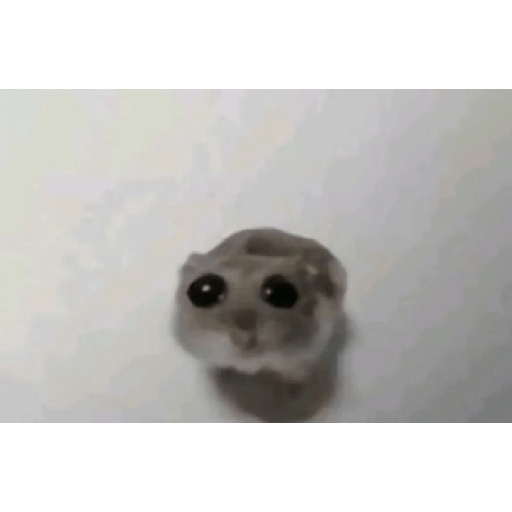 Emojis 2 11