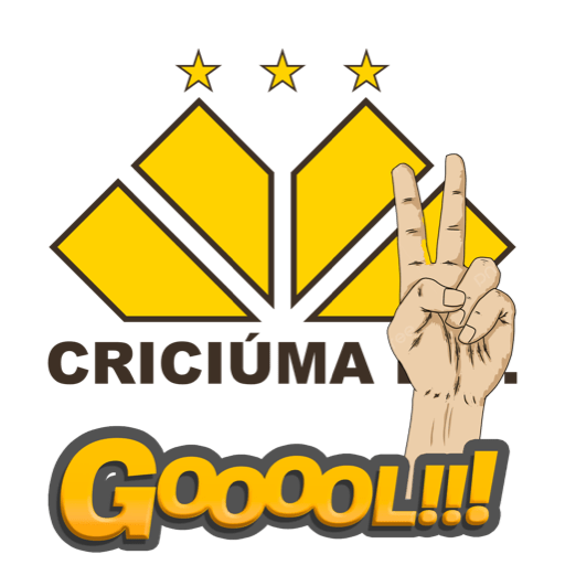Brasileirão 2024 13