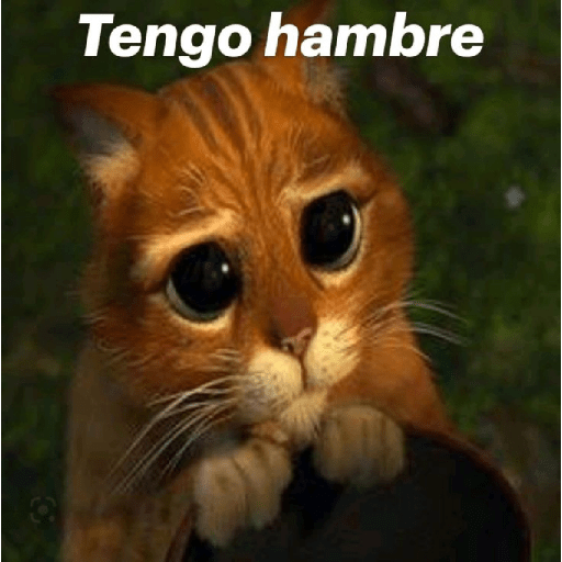 Sin Pago 14