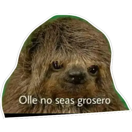Animales 28