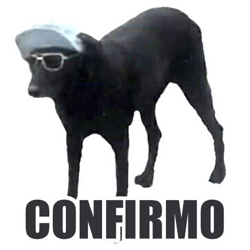 Perritos 20