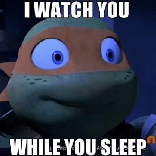 Michelangelo (Mikey) 13