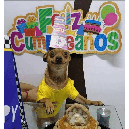 Feliz 3 3