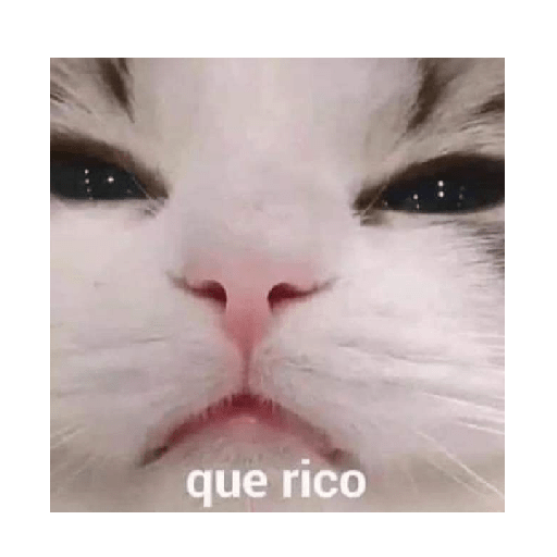 Mi novio 10