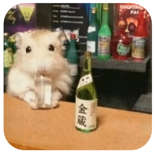Hammy 12