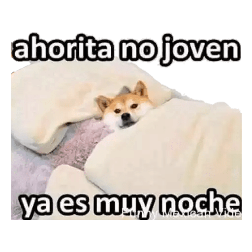 Perritos 25