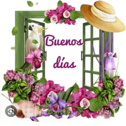 Buenos dias  11