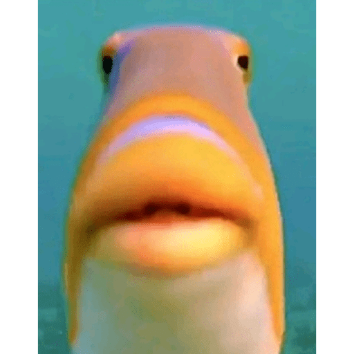 Random 2 6