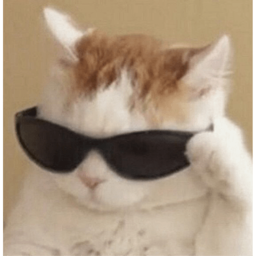 Memes pets 15
