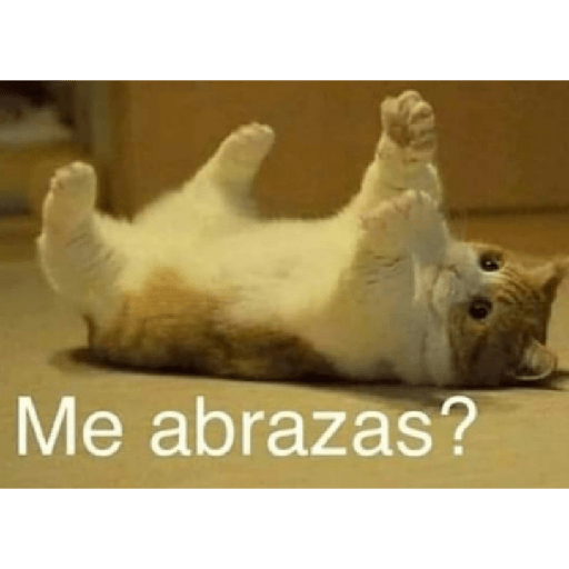 Xdxd 14