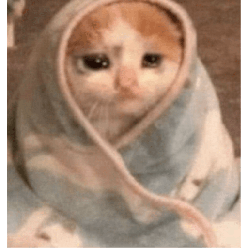 Memes pets 10