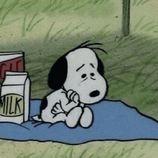 Snoopy 29