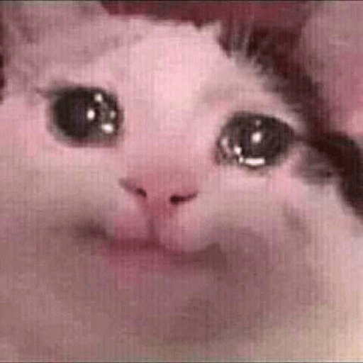 Kucing sad 10