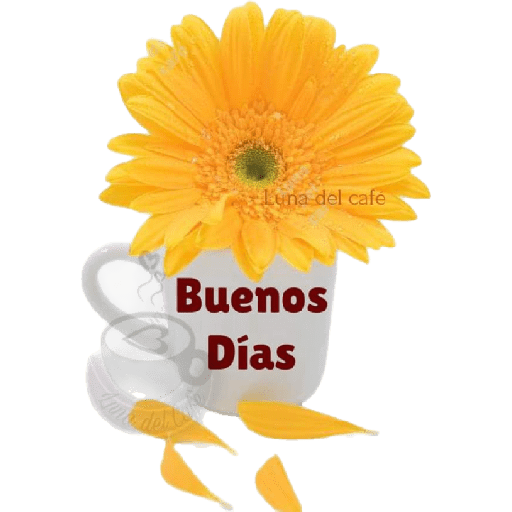 Buenos dias  22