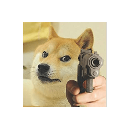Perritos 17