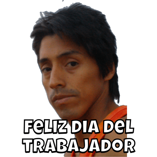 CHIPIS 29