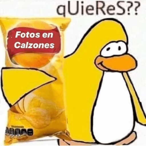 Xdd 12