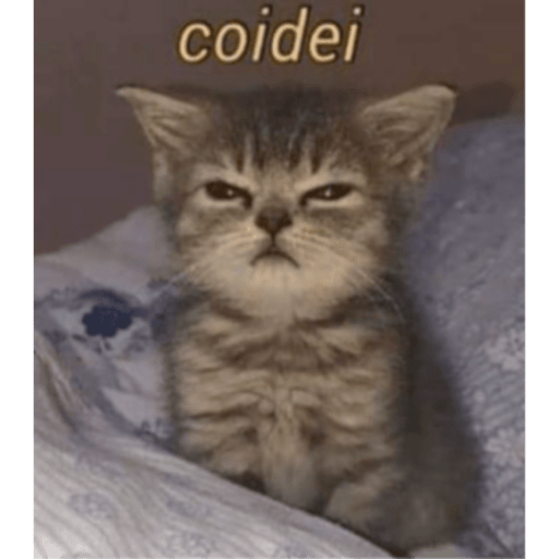 Memes pets 20