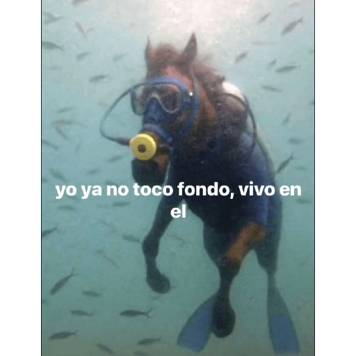 ñoche 21