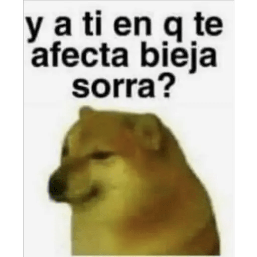Perritos 19