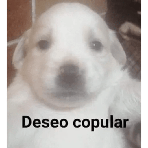 Lo que necesitas 😈😎 1