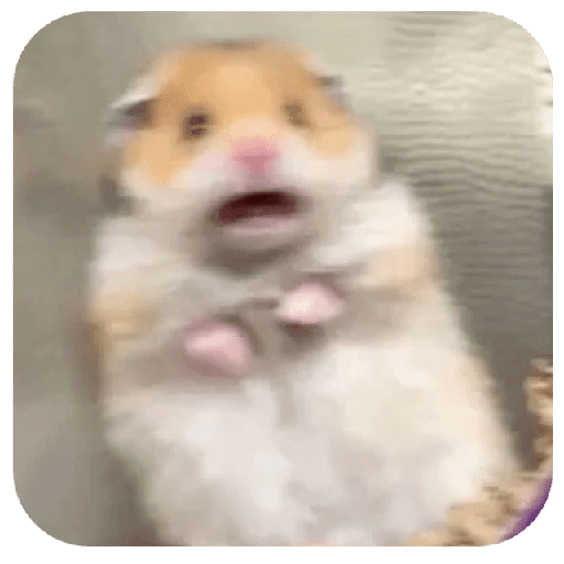 Hammy 9