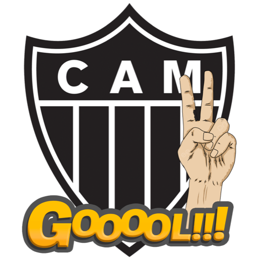 Brasileirão 2024 14