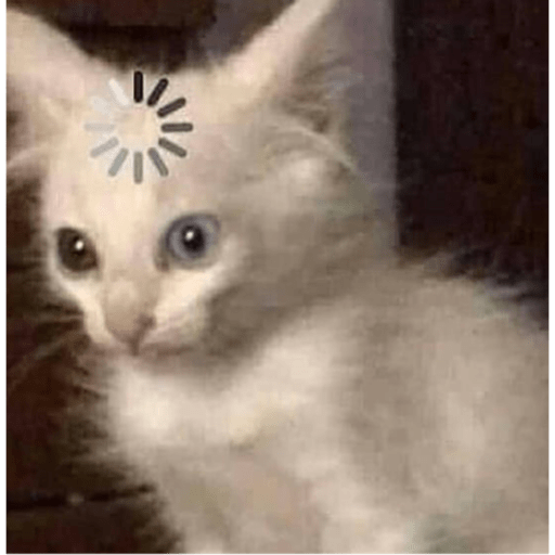Memes pets 3