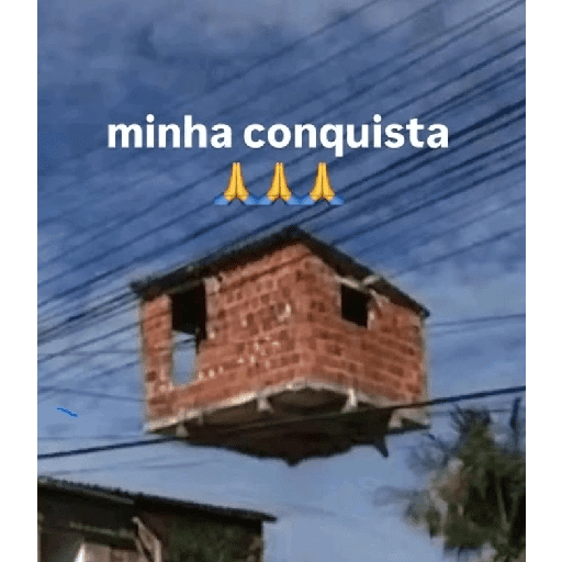 Memes e frases 6