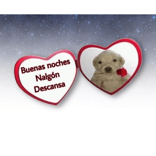 Mi novio 7