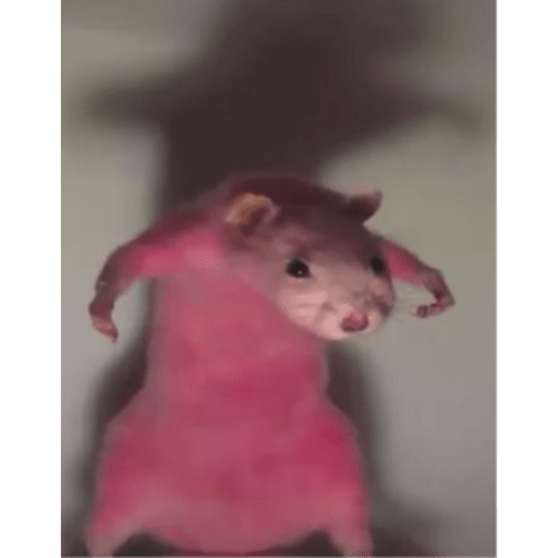 Memes pets 17