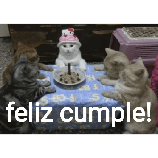 Feliz 3 2