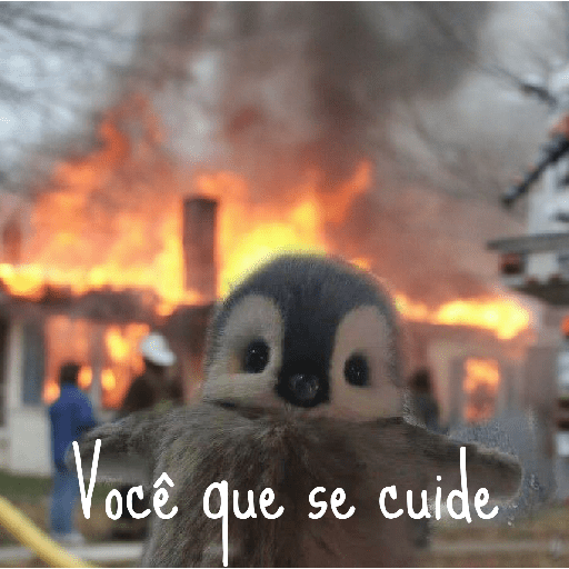 Memes Pinguins  10