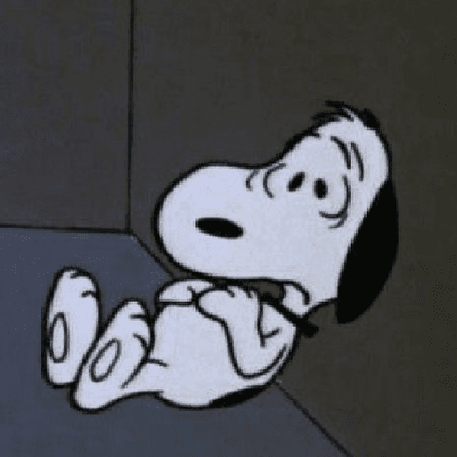 Snoopy 28