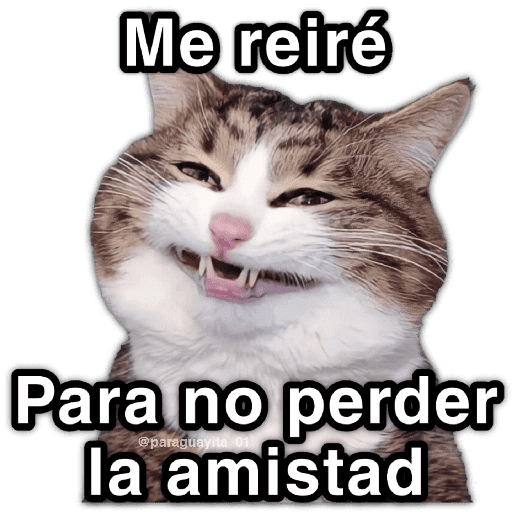 GATOS RANDOM - PARTE 17 11