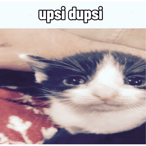 Silly cat memes 11