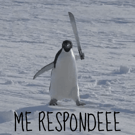 Memes Pinguins  9