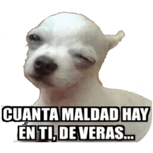 Perritos 26