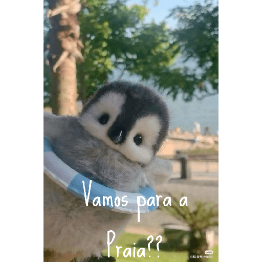 Memes Pinguins  8