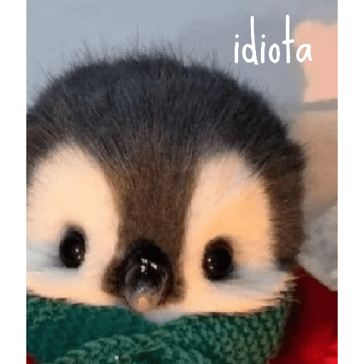 Memes Pinguins  16