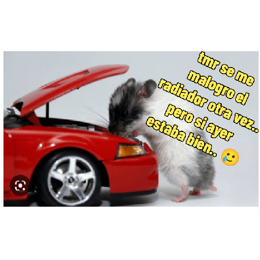 Sin Pago 9