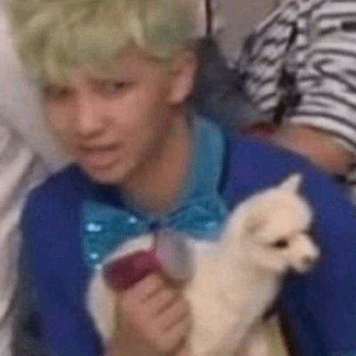 Meme bts 🐱 11