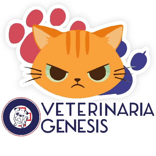 Vet Génesis emojis  6